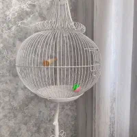 قفس پرنده