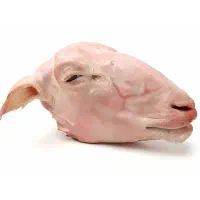 کله‌پاچه پاک نکرده ۹۰۰