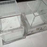 پنج عدد باکس عقد