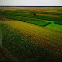 فروش زمین در روستای منگاوی