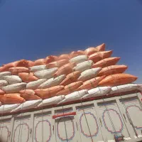 کاه کرمانشاه