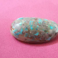 فیروزه نیشابوری