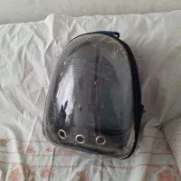 کیف پرنده