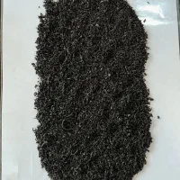 انواع چای‌ بهاره ایرانی به صورت عمده و خرده