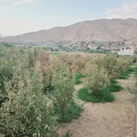 فروش-200متر-باغ-دارای-آب-برق-در-شرق-تهران