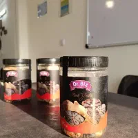 نمایندگی رسمی سیر سیاه دکتر بیز(اصلی)