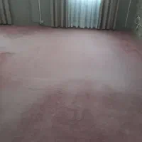 پالاز موکت