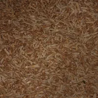 فروش حدود ۲۰۰ کیلو جو و گندم امسالی