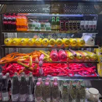یخچال فریزر ایستاده