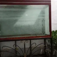 آکواریوم