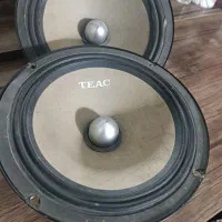 میدرنج تیاک آمریکایی قول