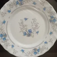 پیش دستی آرکوپال