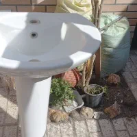 روشور تمیز ۸۰۰ تومان