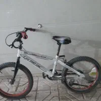 یک عدد دوچرخه  ۲۰