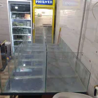 قفسه سبزی پاک شده