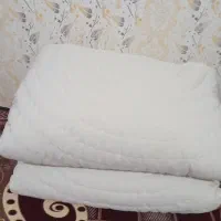 لهاف ..تشک