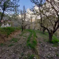 فروش باغ جاده چالوس معاوضه با واحد آپارتمان