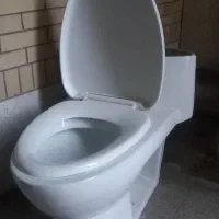 سنگ توالت فرنگی