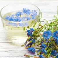 عرق کاسنی
