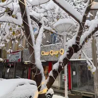 بزرگترین فروشگاه لباس استوک وسوسه