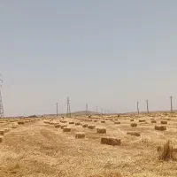 پرس کاه جو