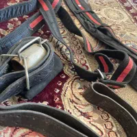 هیکلی|کیف، کفش، کمربند|پرند, فاز ۵|دیوار