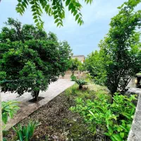 لواسان 250 متر شمالی