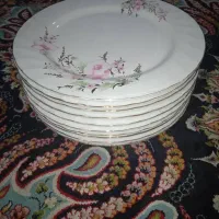 بشقاب پلو خوری