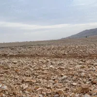 زمین-گلخانه