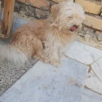 سن ۲سال