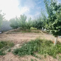 زمین-باغ-ویلا-500متری-شاهنامه-گوارشک-اقساطی-چکی
