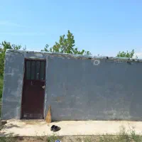 باغ-زرنان