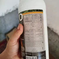 کودریشه