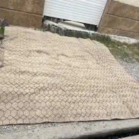 موکت|موکت|نوشهر, |دیوار