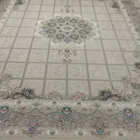 قالی