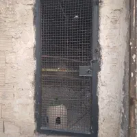 دوتا درگنجه با شیروانی سیمانی فلزی