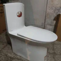 فرنگی بومرنگ