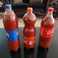 رب گوجه خوشرنگ دونه ای ۲۶۰