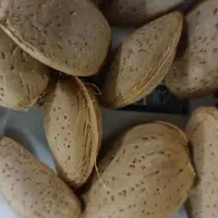 بادام
