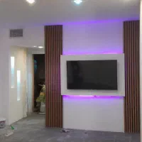 تلوزیون تی سی ال