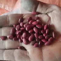 لوبیا قرمز بوجار شده