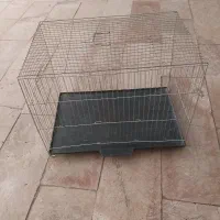 قفس پرنده