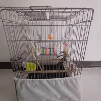 قفس پرنده