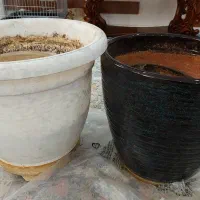 دو عدد گلدان بزرگ