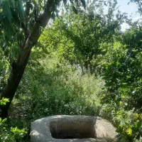 انارگوجه-سبز-زردآلو-جاده-سد-ساوه