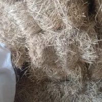 کاه یا پرس جو سفال جو