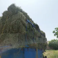 فروش یونجه پرس