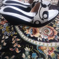 تعدادی کفش مجلسی زنانه مردانه آک