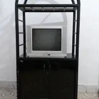 تلویزیون