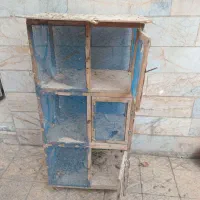 جفت کنی کفتر معاوضه با کفتر